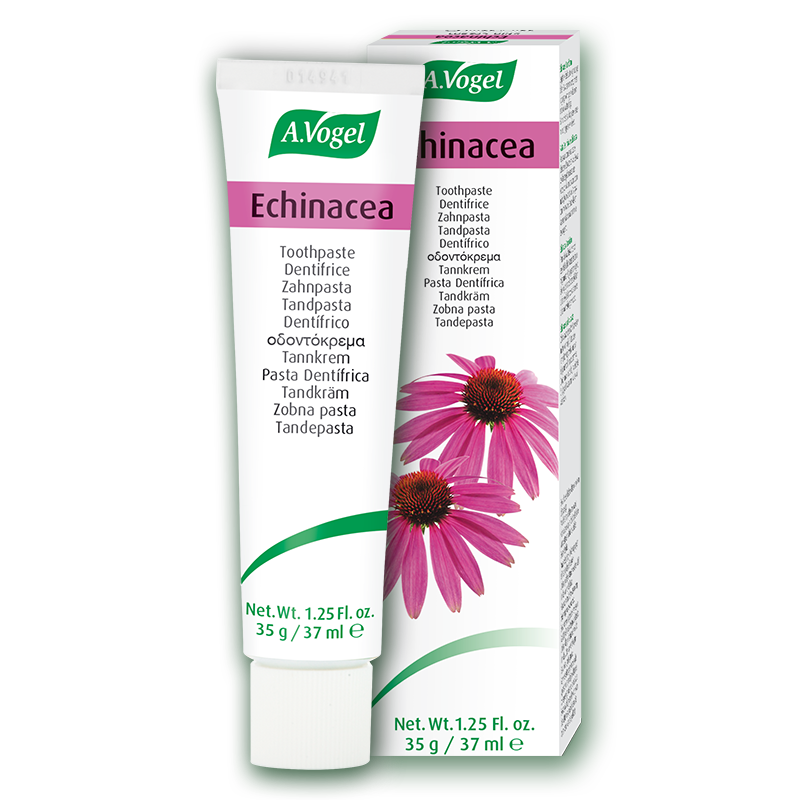 A.Vogel Echinacea Toothpaste 100g - MicroBio Health