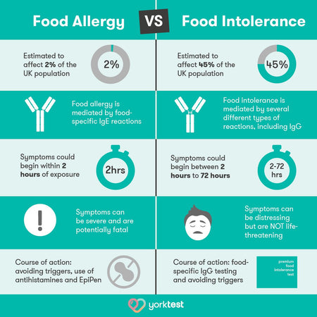 York Test Premium Food Intolerance test + Consultation - MicroBio Health