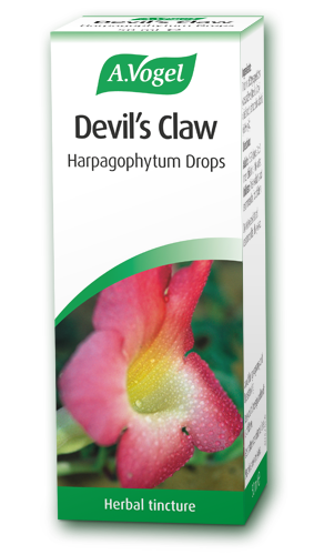 A.Vogel Devils Claw 100ml - MicroBio Health