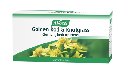 A.Vogel Golden Rod & Knottgrass Tea x25 - MicroBio Health