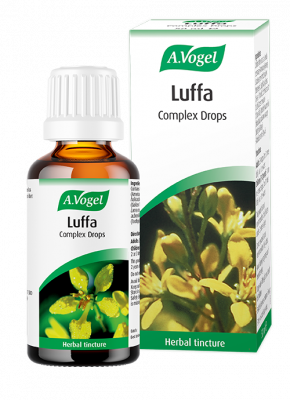 A.Vogel Luffa Complex 50ml - MicroBio Health