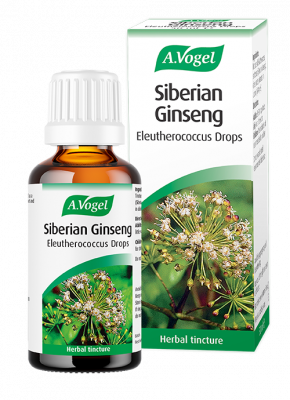 A.Vogel Eleuthrococcus 50ml (siberian Ginseng) - MicroBio Health